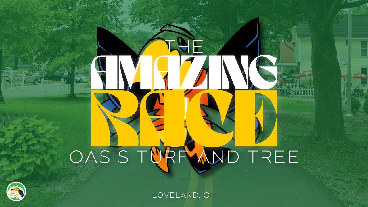 Amazing Race 2026