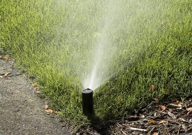 sprinkler head waters grass