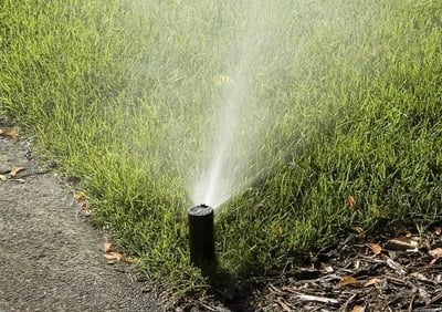 watering lawn in Cincinnati