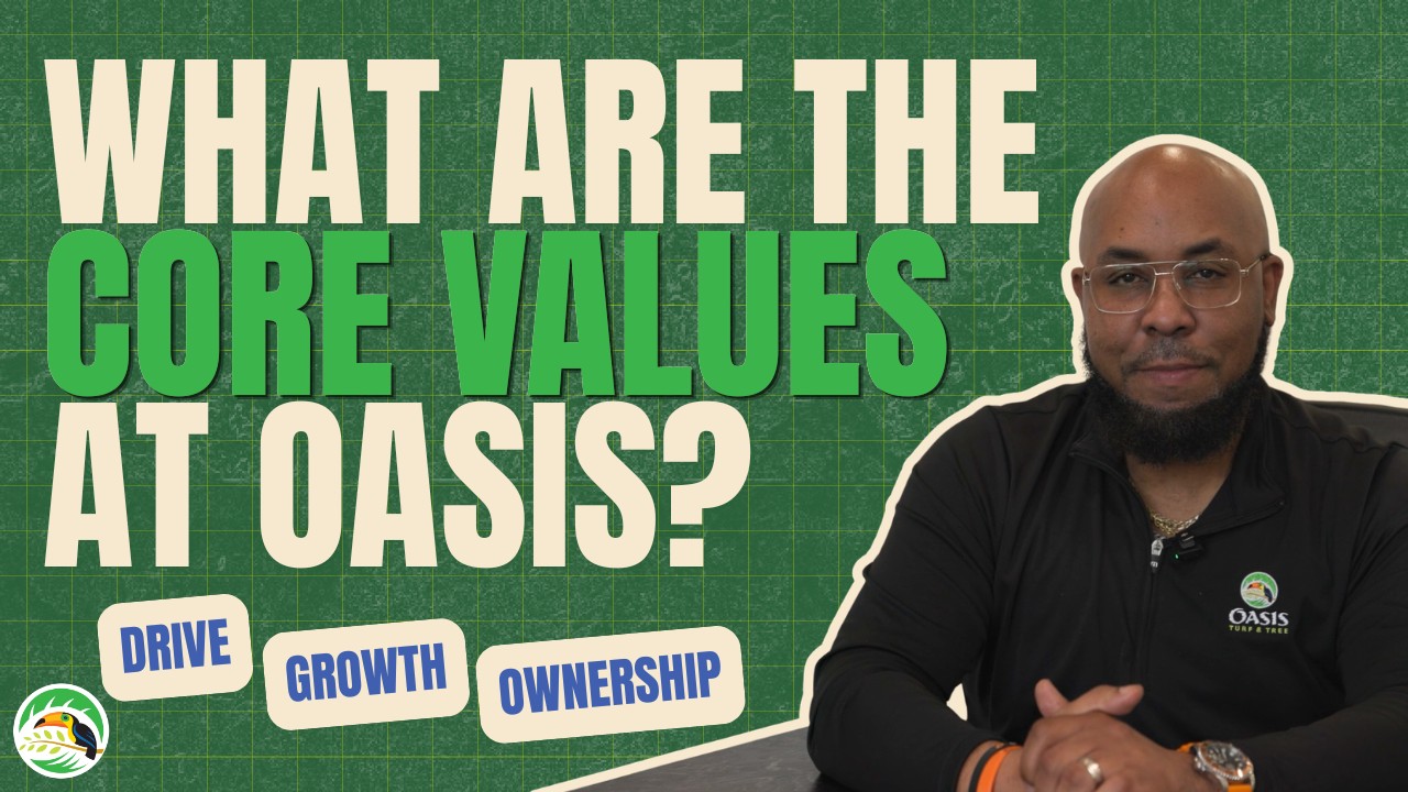 What Makes Oasis Different? | Our Core Values Explained