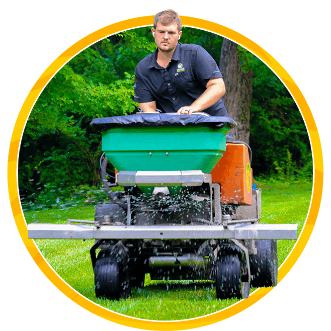 Man operating a green lawn spreader in a lawn, spraying grass treatment as he drives across a sunny lawn; focused, professional tone.