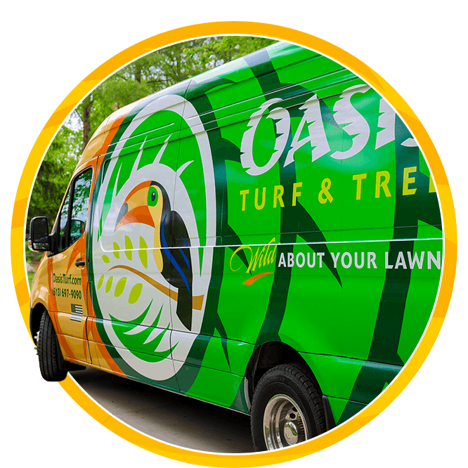 Bright green Oasis Turf & Tree Lawn Care van with colorful bird mural parked by a sidewalk, conveying a fresh, eco-friendly outdoor-care message.