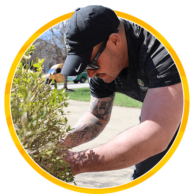 Man in a black cap and Oasis polo carefully looking at leafy shrub outdoors, framed by a bright yellow circular border; focused mood.
