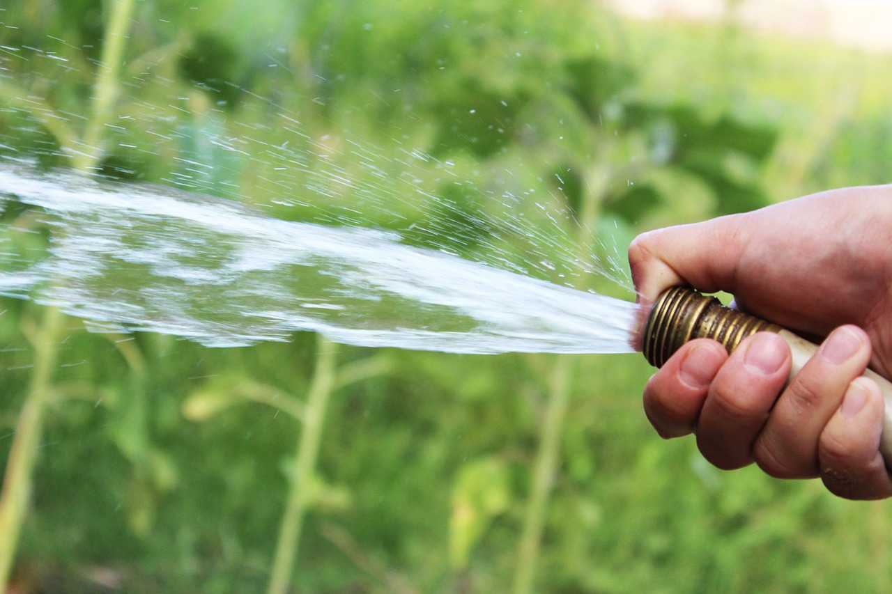 garden hose with water coming out held in hand