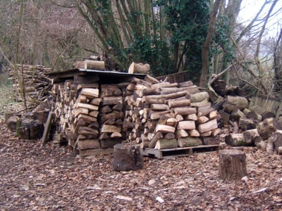 Wood pile attracting mosquitoes