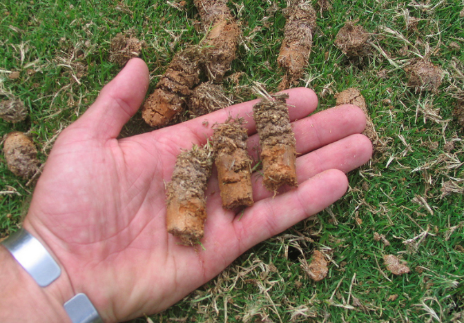 lawn aeration plugs with thatch