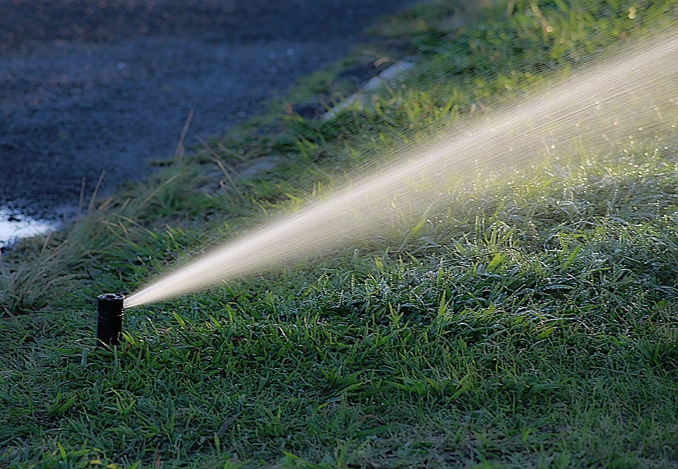 sprinkler head sprays grass