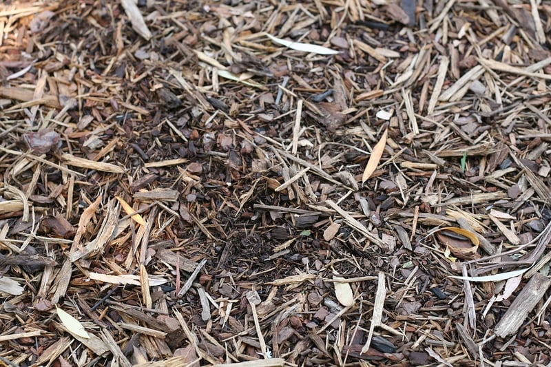 detail of a fresh application of mulch