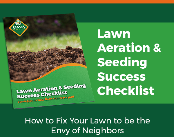 lawn-aeration-seeding-checklist-CTA-2-1-1