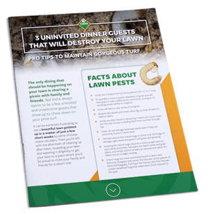 lawn-insect-tip-sheet-cover