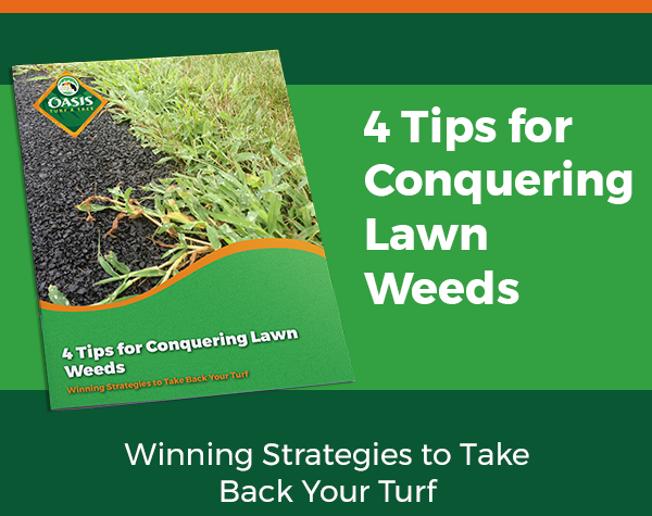 Oasis-Conquering-Lawn-Weeds-CTA-2-1