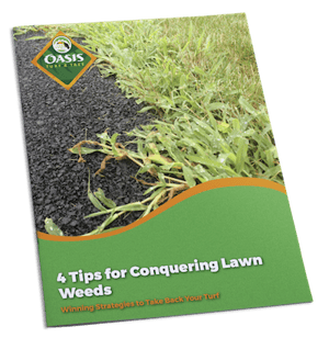 Getting rid of weeds in your lawn in Cincinnati, Dayton, OH, or Northern Kentucky.