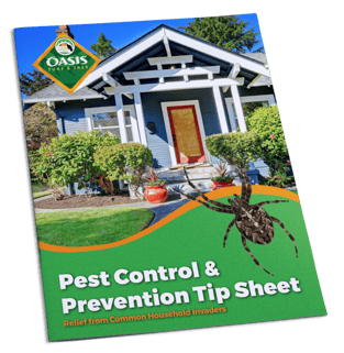 Learn about pest control and prevention tips for your home in Cincinnati, Dayton, OH or N. Kentucky.