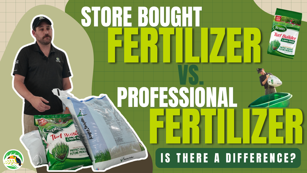 The Truth About Store-Bought Lawn Fertilizer (Most Homeowners Don't Know This) | Oasis Turf & Tree