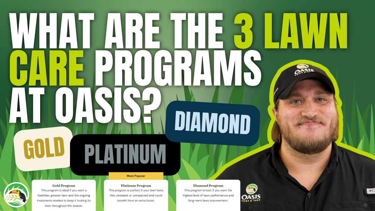 Gold vs. Platinum vs. Diamond: Which Lawn Care Program Is Right for You? | Oasis Turf & Tree (Thumbnail)