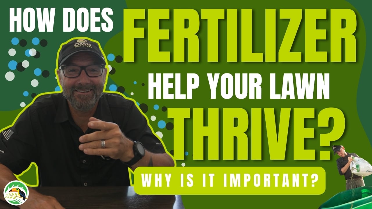 How Does Fertilizer Help Your Lawn Thrive? | Cincinnati, Dayton & Northern KY (Thumbnail)