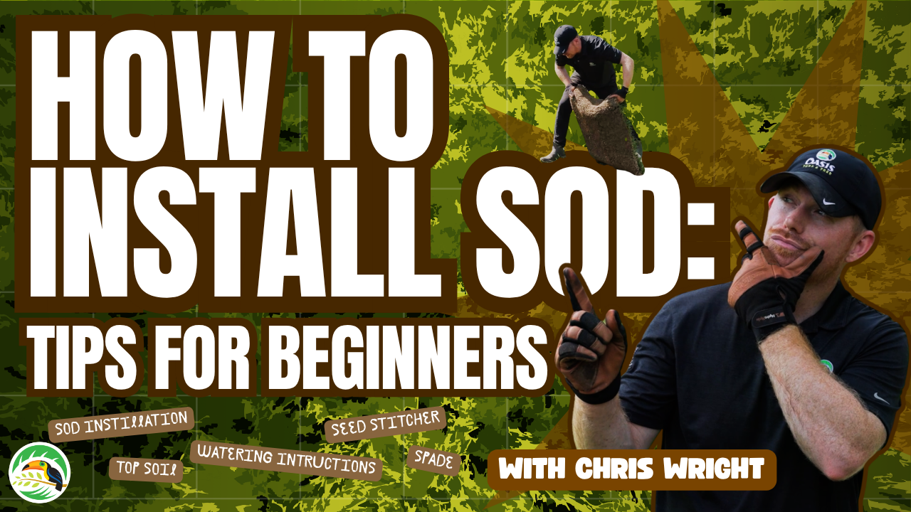 How to Sod Your Lawn the Right Way | Tips with Chris (Thumbnail)
