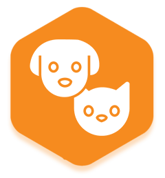 pet-friendly