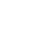 lc-white-icon