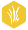 gold lawn care program icon