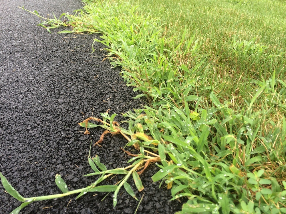Learn how crabgrass preventer and post-emergent crabgrass control works. 