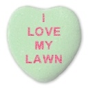 How a lawn care service can help you fall in love with your lawn all over again each day.