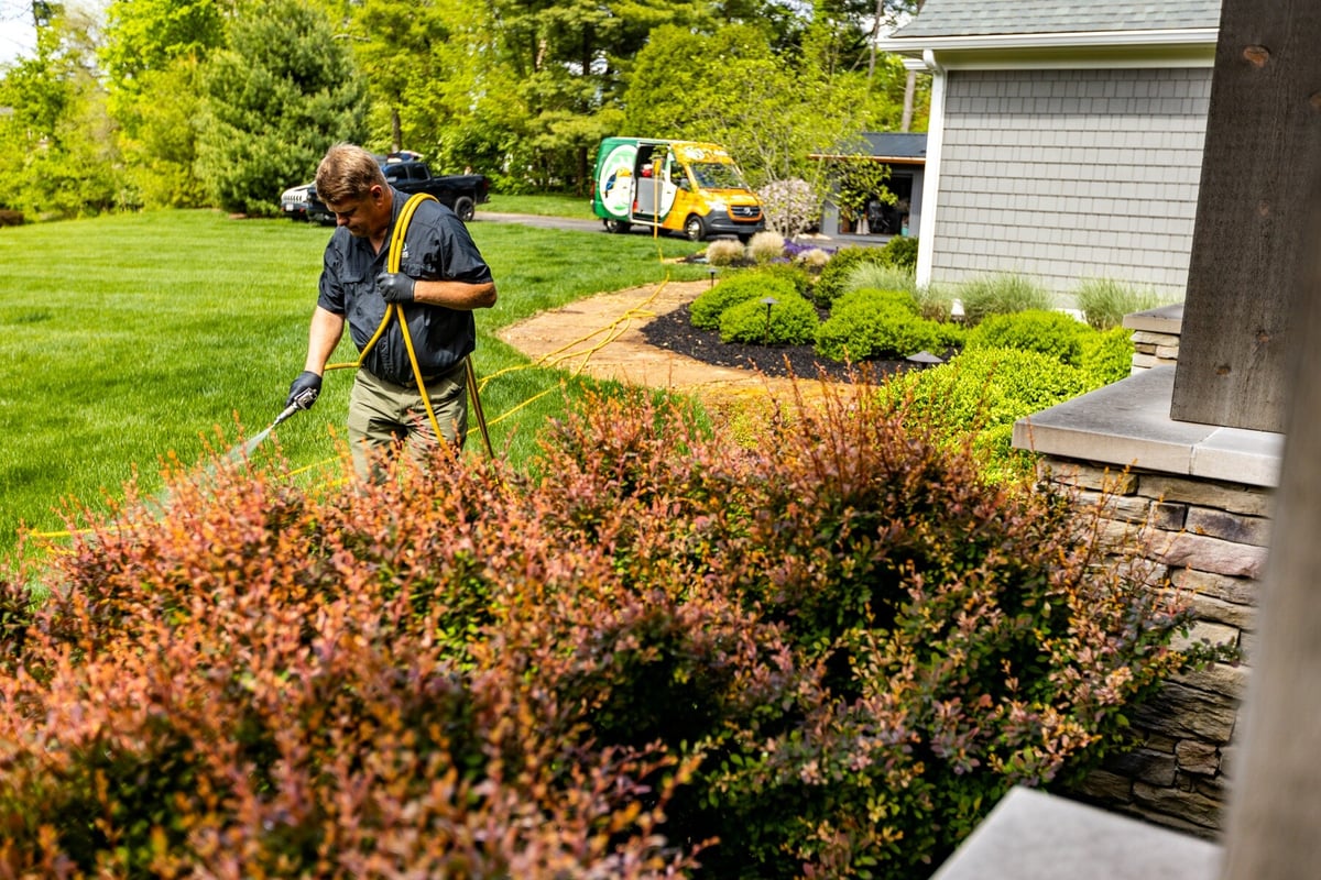 technician sprays for ticks