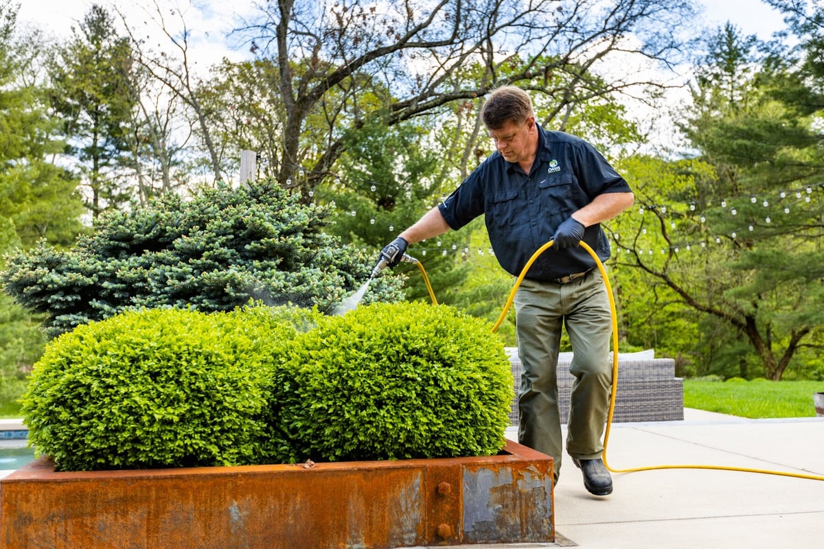 pest control technician spraying bushes for mosquito