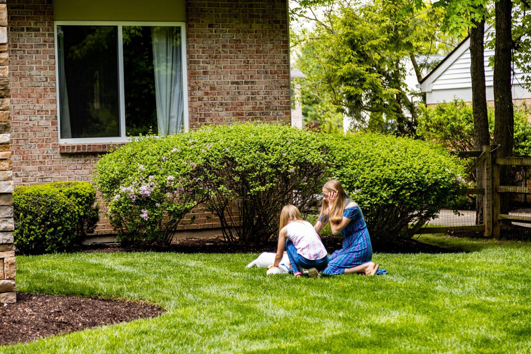 customer playing with dog in green lawn