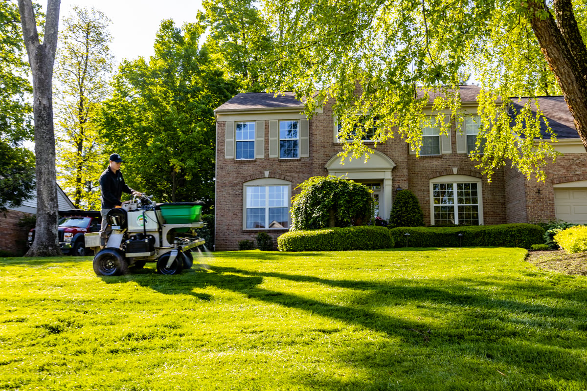 lawn care technician spraying for weeds on green lawn
