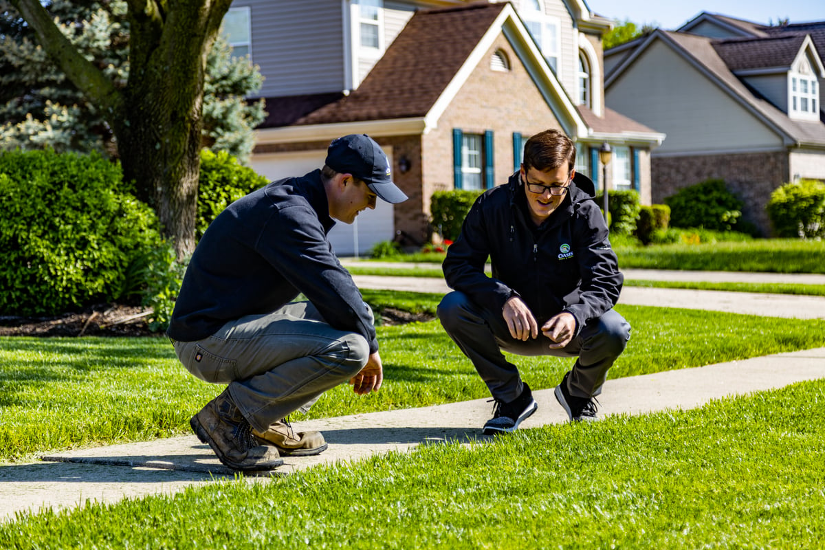 lawn care team looks at grass