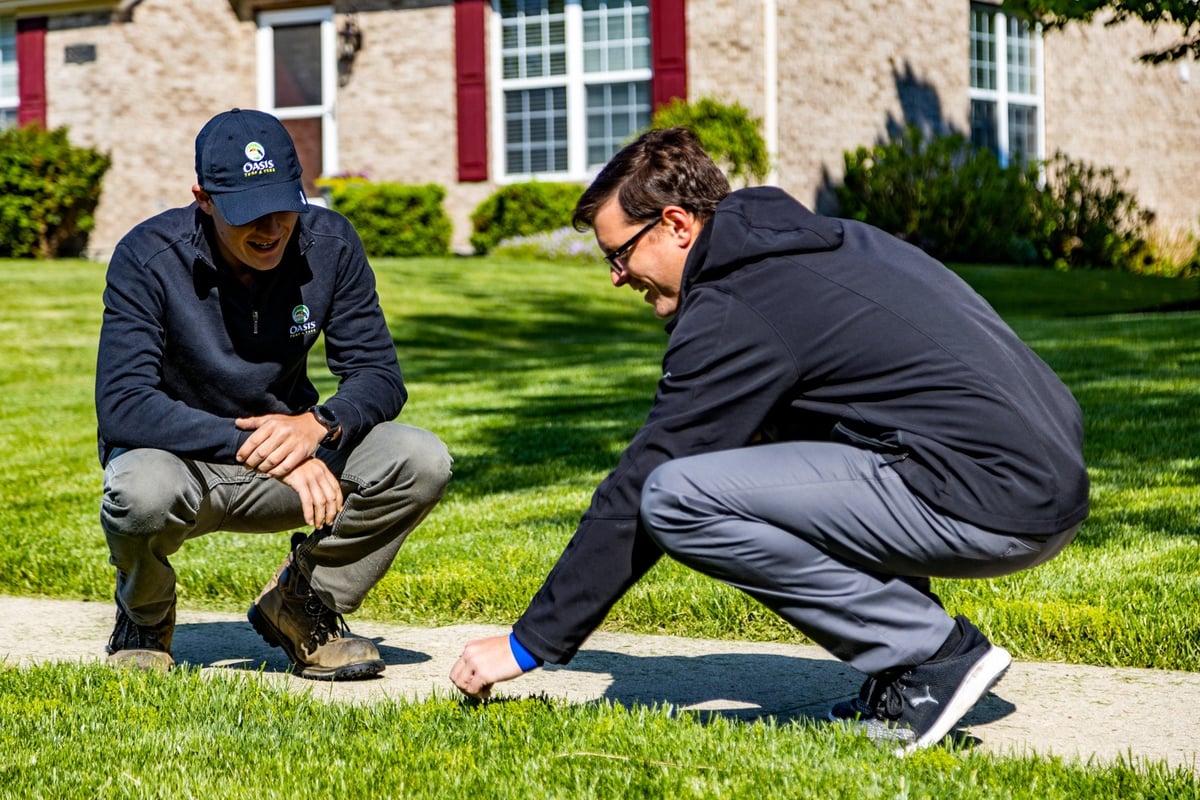 lawn care team inspects grass