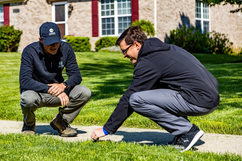 lawn care tehcnician training with lawn care manager