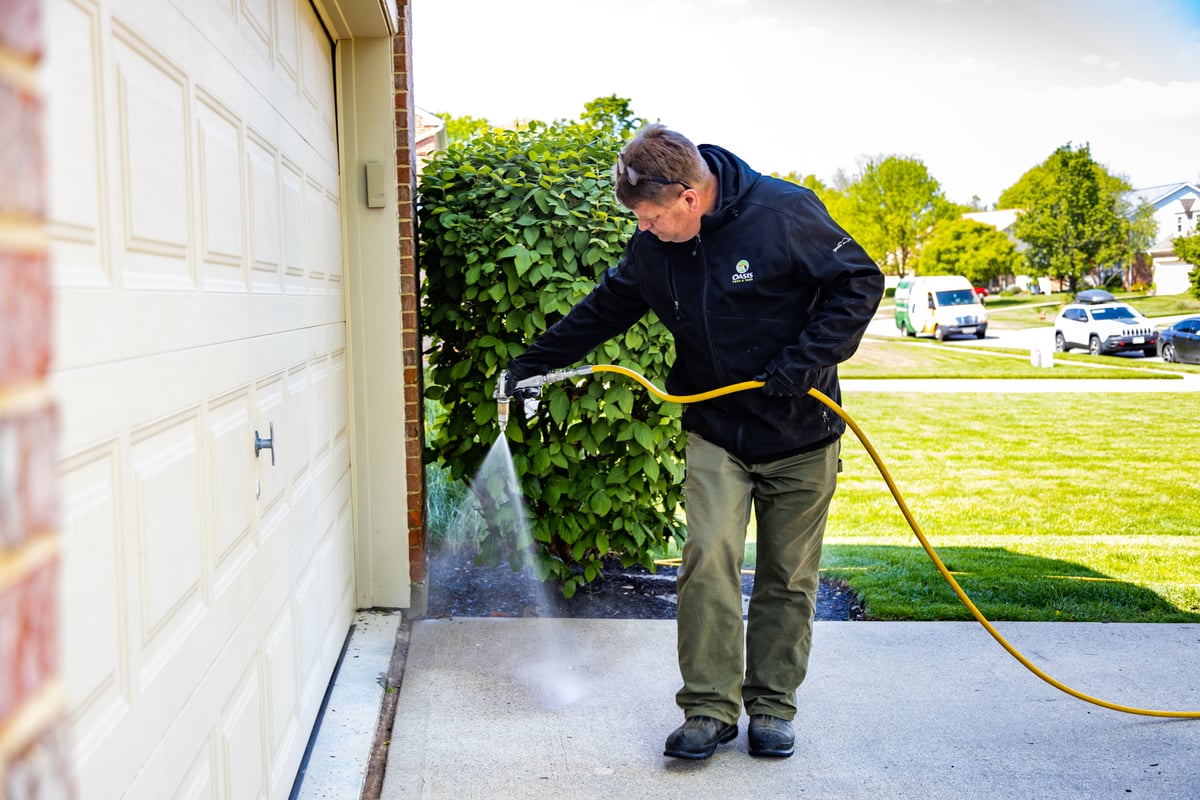 pest control expert sprays perimeter of home for bugs