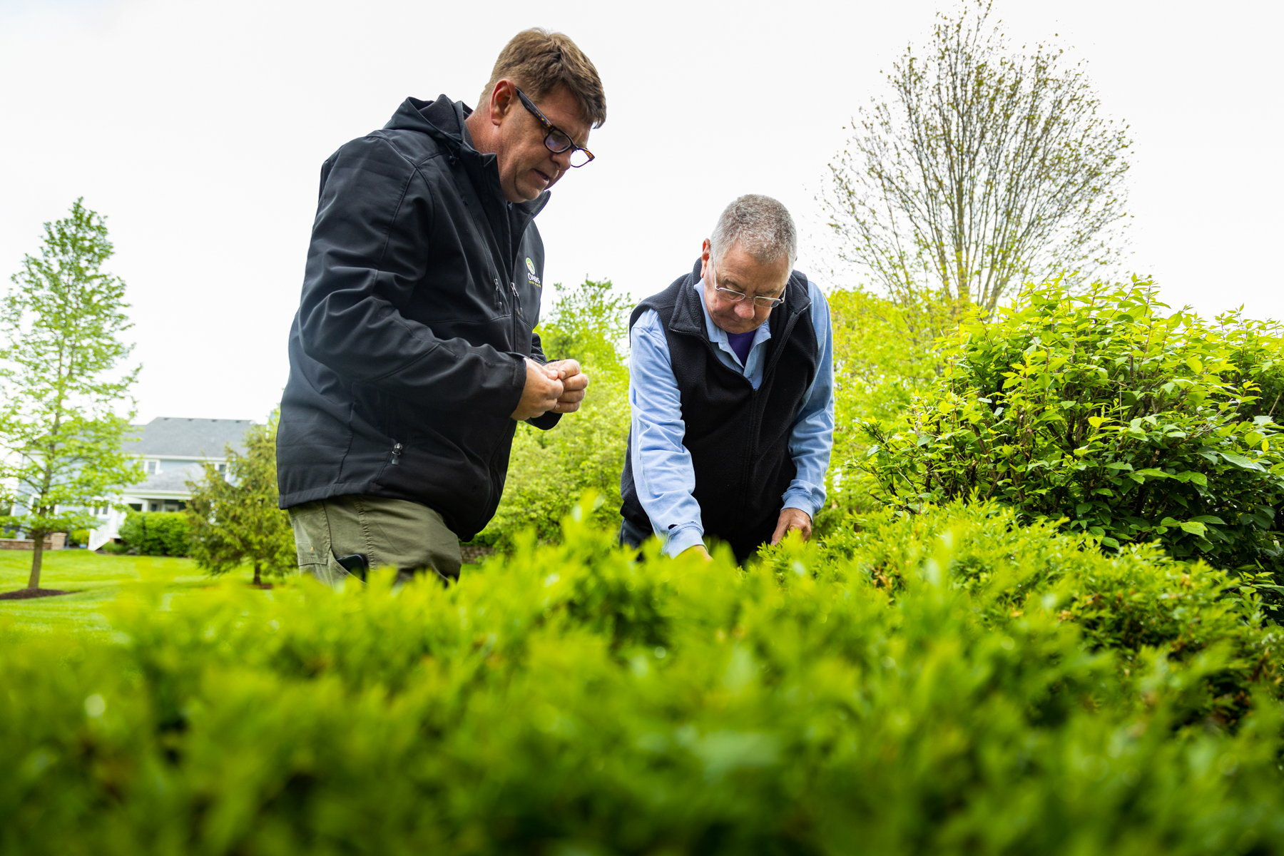 plant health care technician inspecting shrubs with customer 