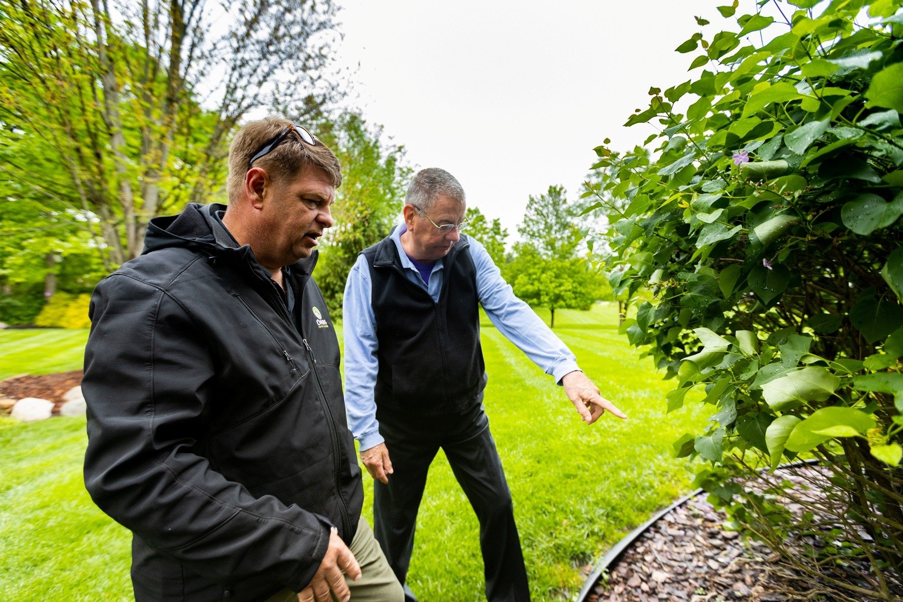 homeowner and landscaper inspect plants for disease