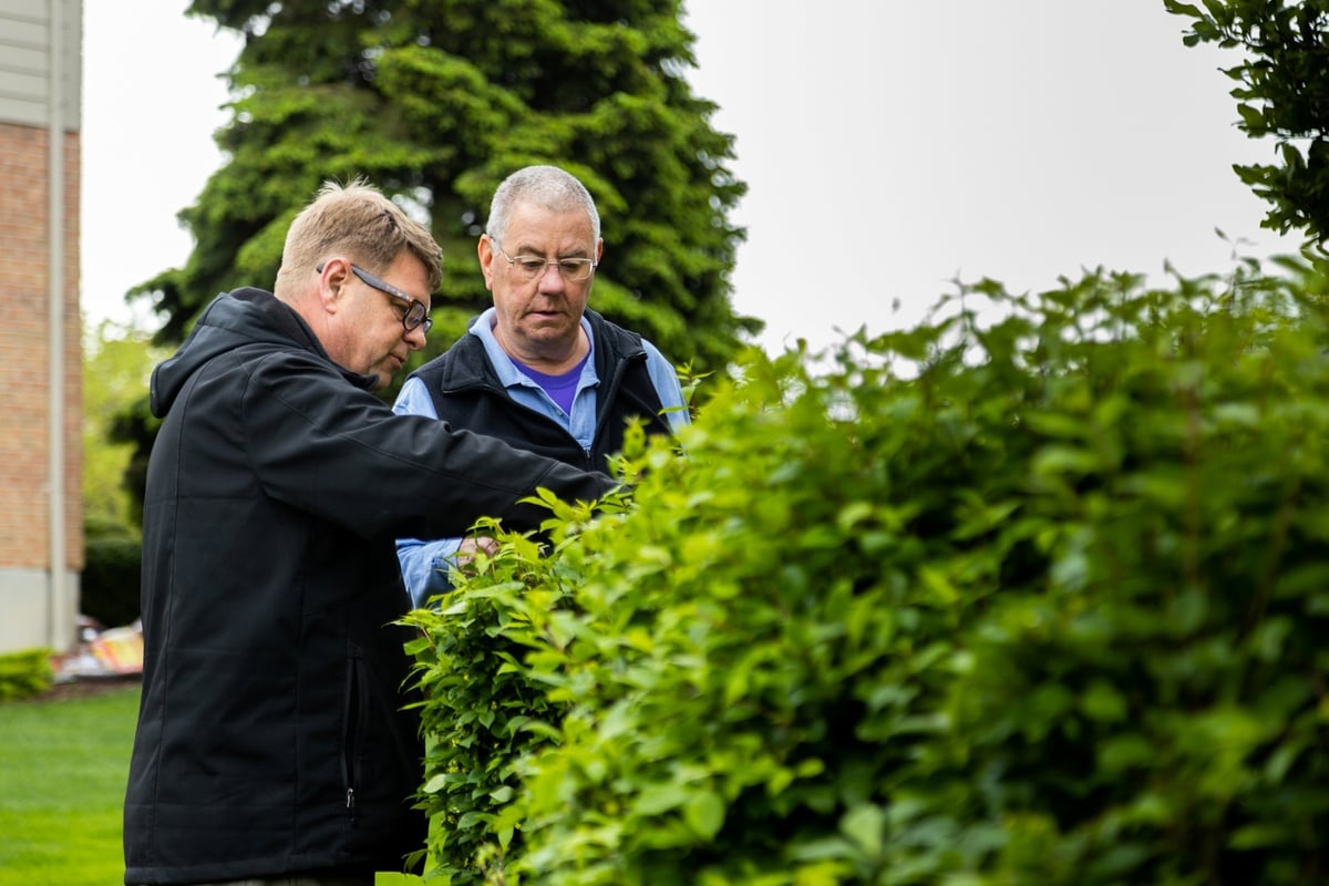 plant health care technician inspecting shrubs with customer