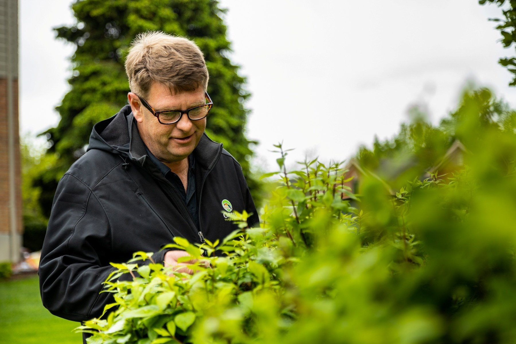 plant health care tech inspecting for signs of spider mites and other pests