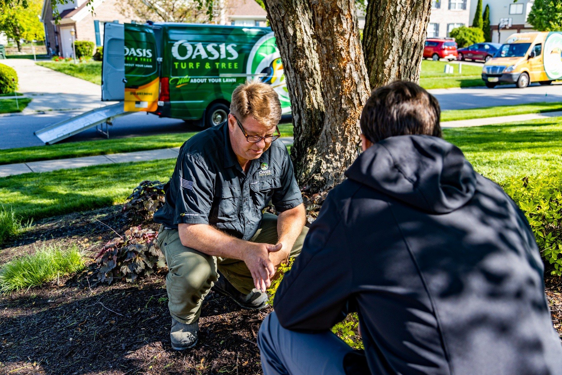 tree care experts inspect shrubs