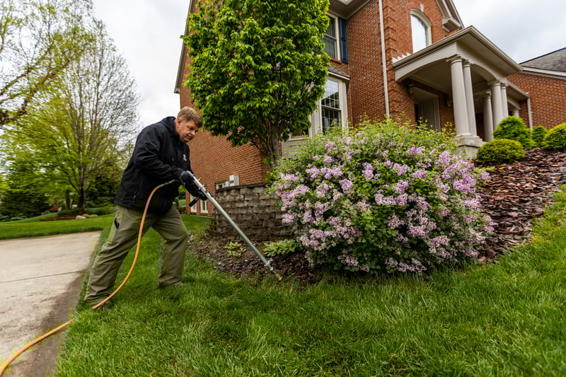 plant health care technician fertilizing trees and shrubs in a planting bed