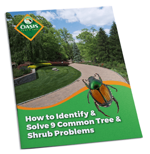 Tree & Shrub Tip Sheet Cover v2