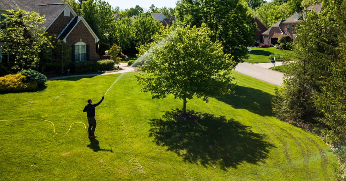 aerial photo of pest control spraying tree