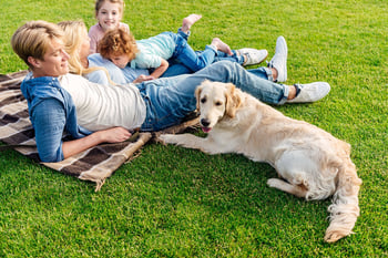 Happy family and dog relaxing in lawn with mosquito control treatment