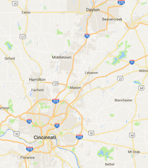 Organic Turf Company Vs Purelawn Vs Oasis Turf Tree
