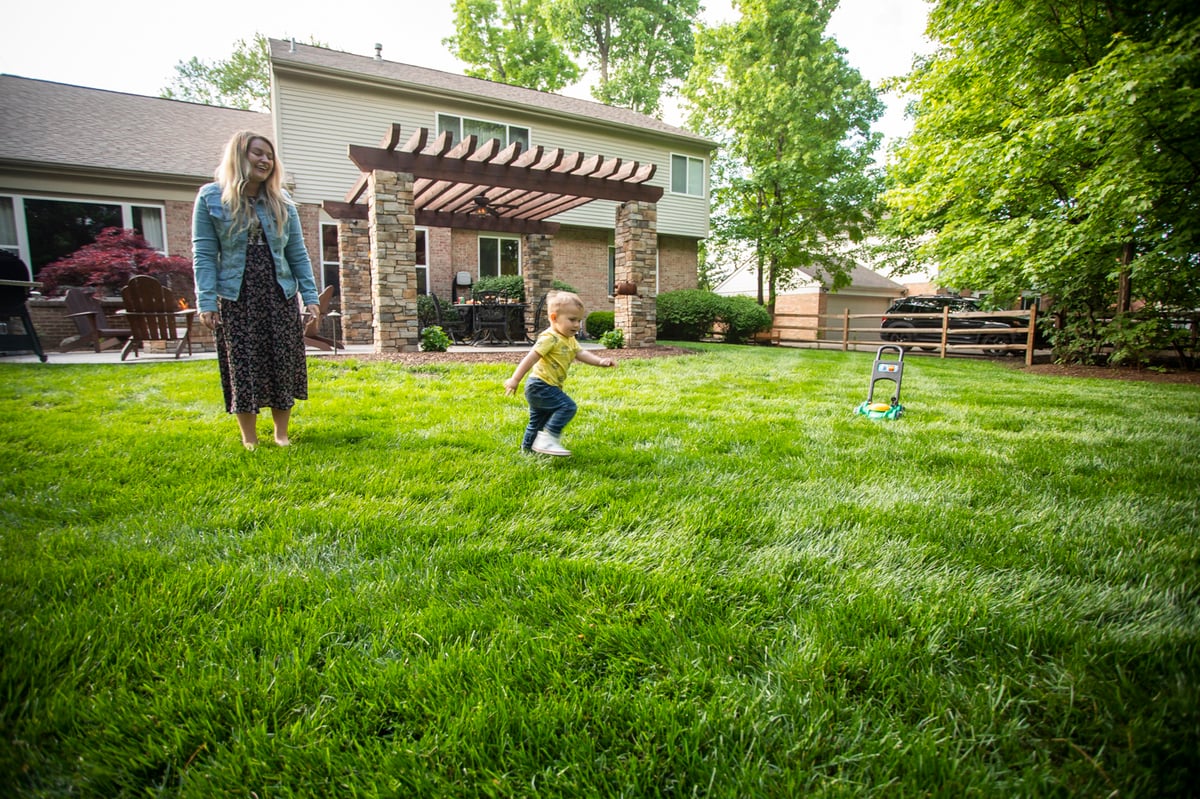 Healthy grass with good lawn care