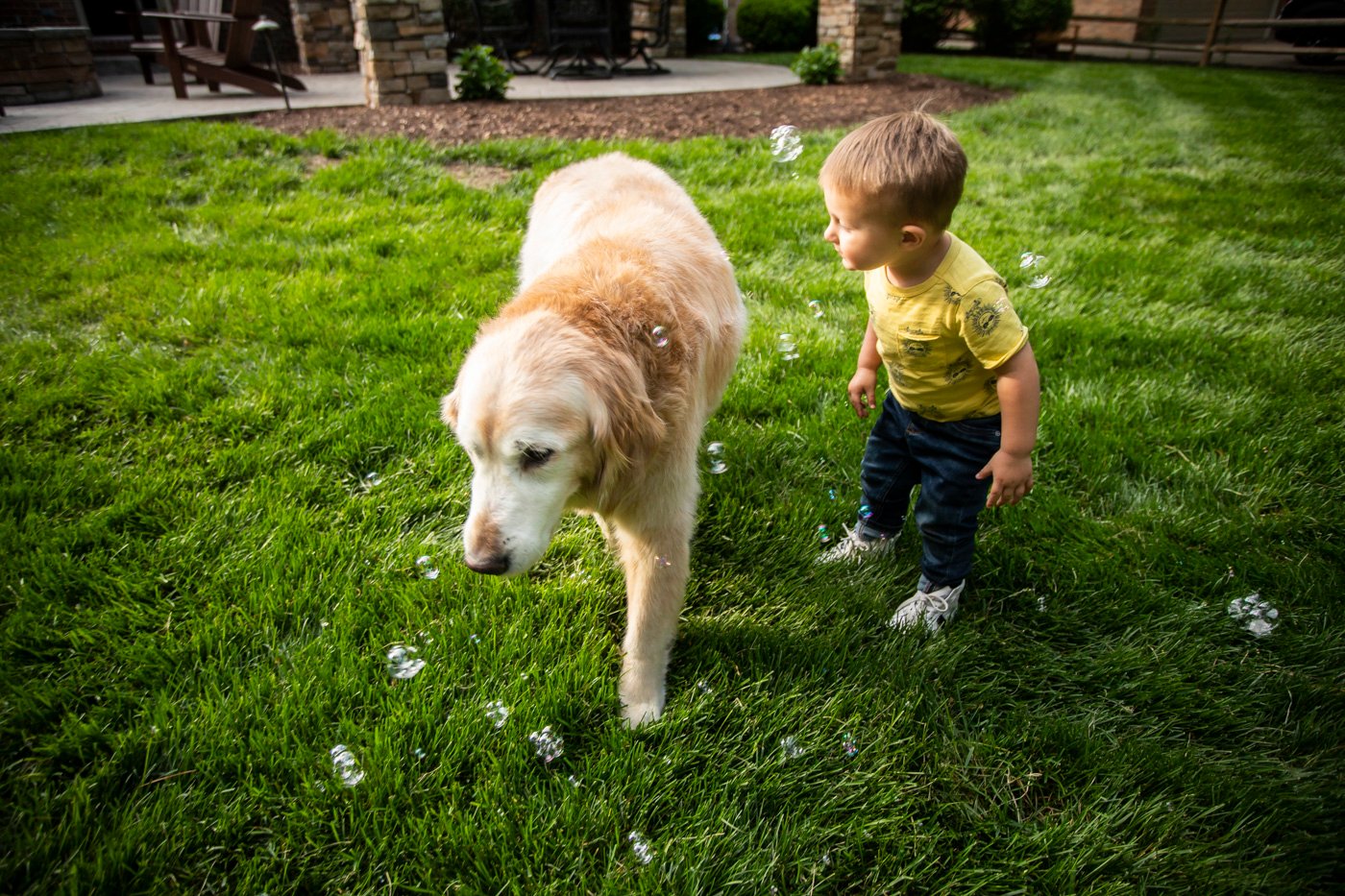 Kid and dog in yard with no ticks