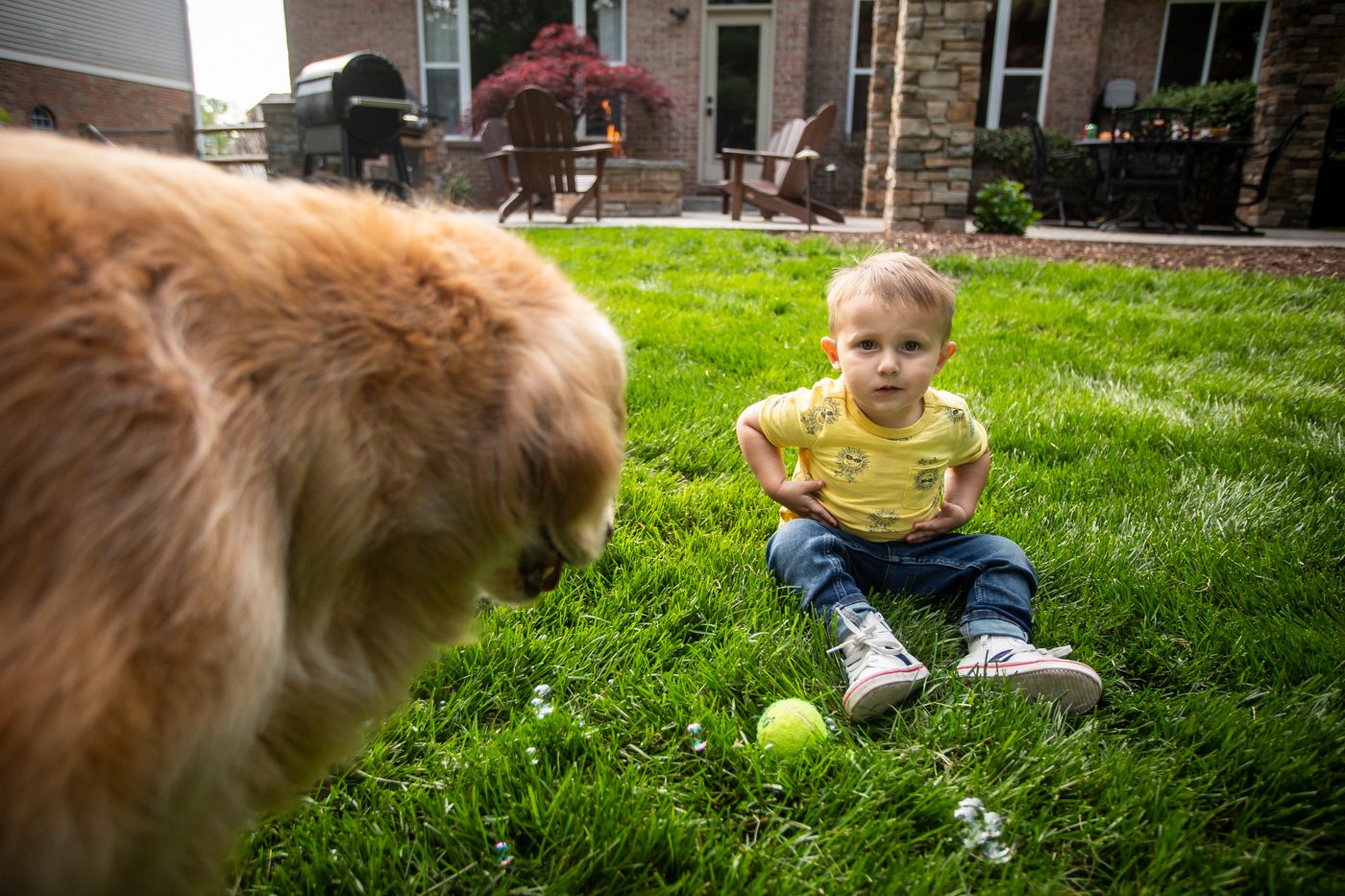 child and dog sit in lawn