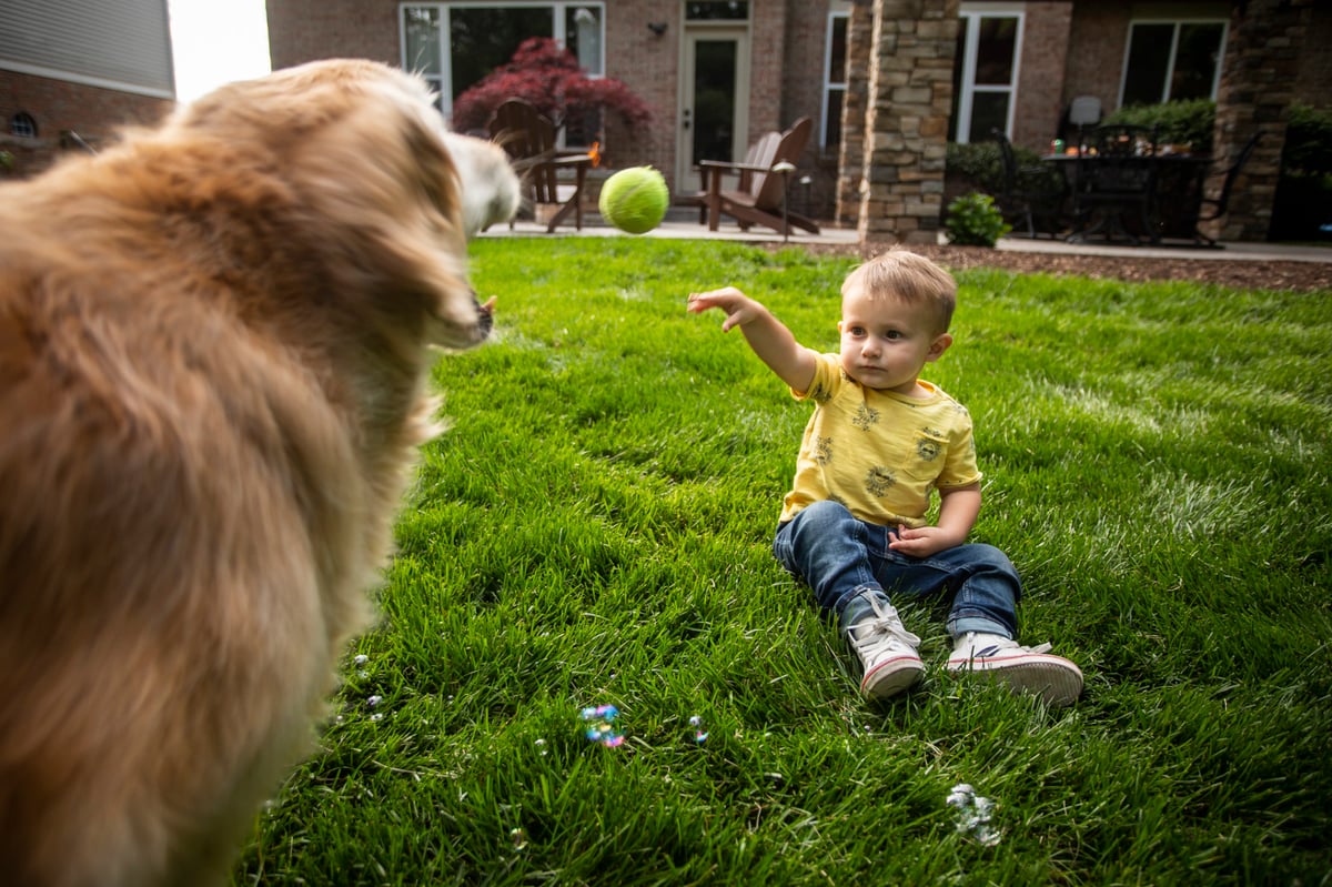 dog and child play in yard