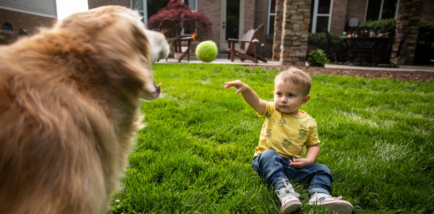 outdoor pest control cincinnati dayton oh northern kentucky