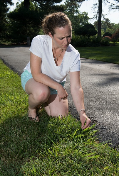 lawn care customer pulling weeds